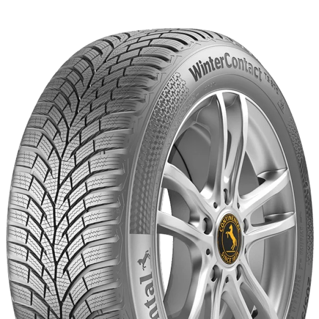 WINTERCONTACT TS870