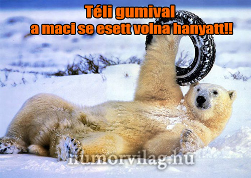 Téli gumival a maci sem esik hanyatt!