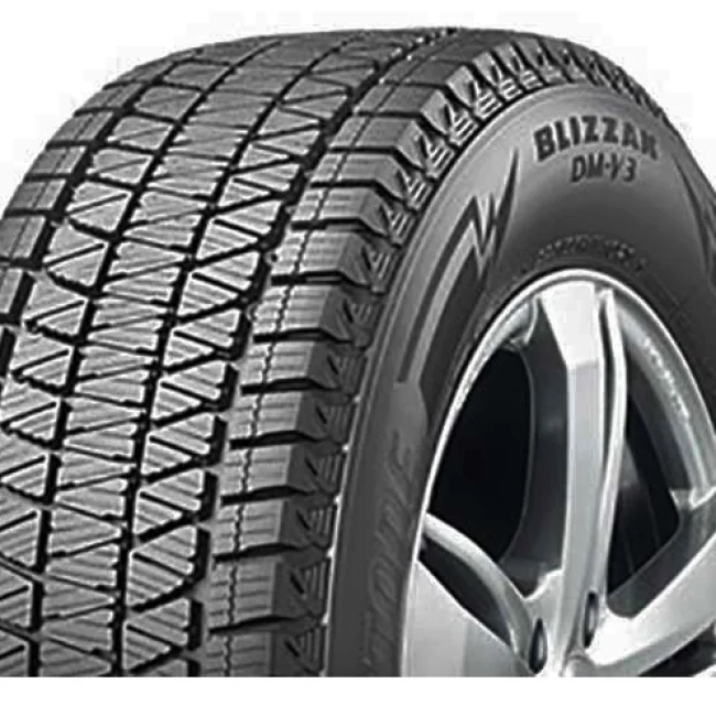 Bridgestone DM-V 3