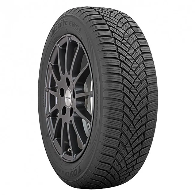 Toyo Observe EWS1